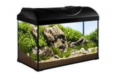 Set Acvariu STARTUP 50 LED EXPERT 10W - PLAT - NEGRU foto