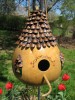 Dovleac BIRDHOUSE GOURD - 5 seminte pentru semanat