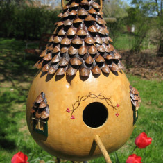 Dovleac BIRDHOUSE GOURD - 5 seminte pentru semanat