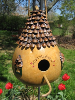 Dovleac BIRDHOUSE GOURD - 5 seminte pentru semanat foto