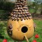 Dovleac BIRDHOUSE GOURD - 5 seminte pentru semanat