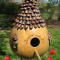 Dovleac BIRDHOUSE GOURD - 5 seminte pentru semanat