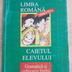 Limba română clasa a VI-a. Caietul elevului - Andra Vasilescu, Mioara Popescu