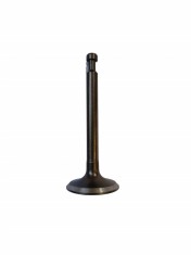 supapa de esapament pentru motopompa Innovative ReliableTools foto