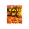 Leaves (Learn About: Fall)