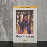 Richard Bandler - Magie &icirc;n acțiune | programare neurolingvistică, Richard Bandler NLP, ședințe NLP