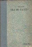 Ce-i de facut - N. G. Cernisevski