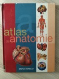 Atlas de anatomie - steaua nordului
