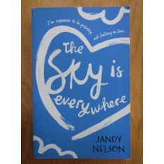 Jandy Nelson - The Sky is Everywhere