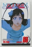 BLEACH , VOLUME 65 , story and art by TITE KUBO ,2022 , BENZI DESENATE *