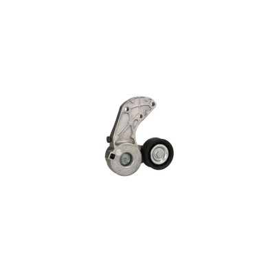 Intinzator curea AUDI Q7 4L DAYCO APV3004 foto