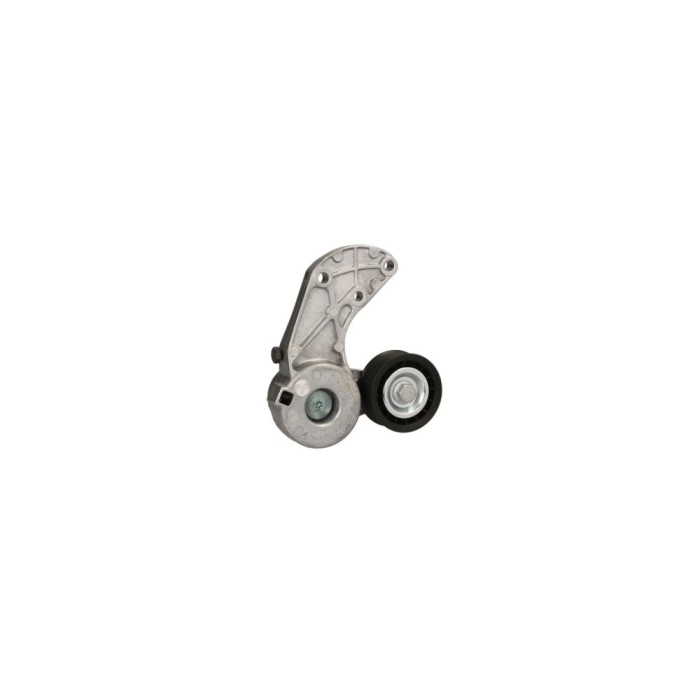 Intinzator curea AUDI Q7 4L DAYCO APV3004