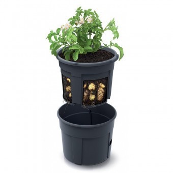 Ghiveci pentru cultivarea cartofilor Strend Pro Potato Grower 392x316 mm foto