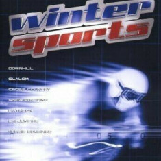 Joc PS2 Winter Sports