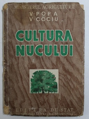 CULTURA NUCULUI de V. POPA, V. COCIU , 1952 foto