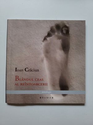 Ioan Craciun, Blandul ceas al reintoarcerii, Ed. Brumar, Timisoara, 2011 foto