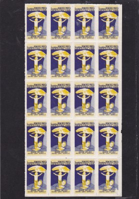 1924 Romania - Societatea Principele Mircea DANE UN LEU PENTRU COPII NEAM. MNH foto