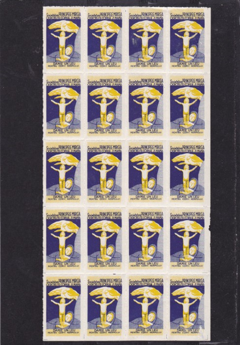 1924 Romania - Societatea Principele Mircea DANE UN LEU PENTRU COPII NEAM. MNH