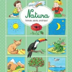 Descopar lumea. Natura - Emilie Beaumont, Sylvie Michelet