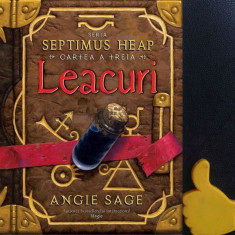 Septimus Heap vol. 3 Leacuri Angie Sage foto
