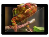 Afișaj TFT Riverdi 12,1" 1280x800 LED SM-RVT121HVLNWC00-B