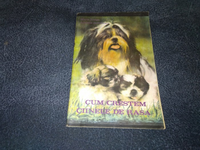 MARTA TOMPA - CUM CRESTEM CAINELE DE RASA