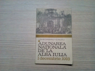 ADUNAREA NATIONALA DE LA ALBA IULIA - I. Gheorghiu, C. Nutu - 1968, 126 p. foto
