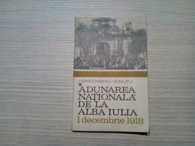 ADUNAREA NATIONALA DE LA ALBA IULIA - I. Gheorghiu, C. Nutu - 1968, 126 p. foto