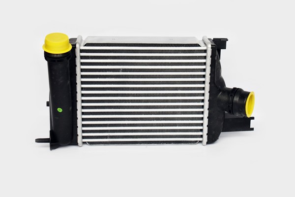 Radiator Intercooler Log.Ii/Dokker/Lodgy 58796 TH.03.022