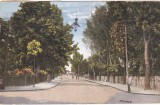 Salutari din PUCIOASA. Bulevardul (circulata 1925)