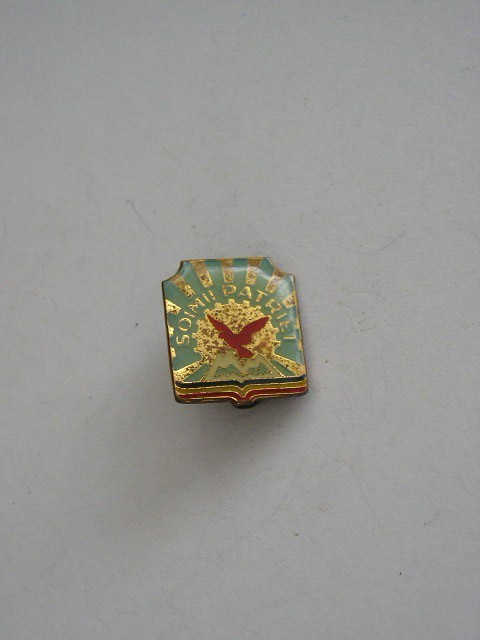 QW9 J 82 - Insigna - tematica comunism - Soimii patriei