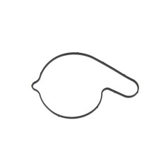 O-ring capac pompa apa CF Moto CForce