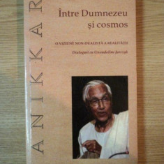 INTRE DUMNEZEU SI COSMOS de RAIMON PANIKKAR , 2006