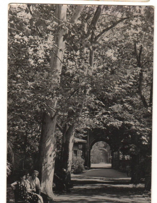 CPI B13554 CARTE POSTALA - BUZIAS - VEDERE DIN PARC, RPR