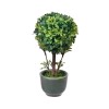 Ghiveci decorativ cu Bonsai artificiala, 5x15 cm, ATU-088284, Oem