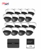 Kit supraveghere video Milesight 16 camere Dome MS-C2973-PD + 1, MILESIGHT TECHNOLOGY