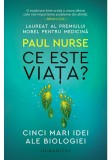 Povestile domnisoarei Firicel - Humanitas