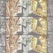 UCRAINA 2008 EUROPA CEPT - Scrisoare - BLOC cu 10 timbre-5 serii MNH**