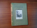 OPERATIILE DELA FLAMANDA - General Al. Averescu - 144 p.+ 8 crochiuri