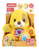 WINFUN CATELUSUL INVATA CU MINE