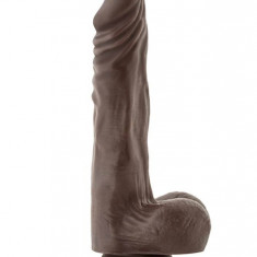Dildo Realistic Dr.Skin Stud Muffin, Brun, 21.5 cm