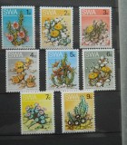 CV2 SERIE AFRICA DE SUD VEST