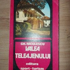 Valea Teleajenului- Gh. Niculescu