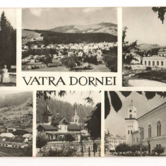 CPI B13846 CARTE POSTALA - VATRA DORNEI, MOZAIC