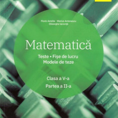 Matematica clasa a V-a sem II Teste Fise Modele