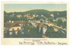 1250 - BORSEC, Harghita, Panorama, Litho, Romania - old postcard - used - 1904