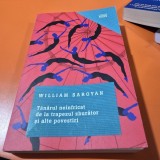 Tanarul neinfricat de la trapezul zburator si alte povestiri - William Saroyan