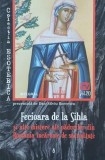 Fecioara de la Sihla si alte mistere ale padurilor din Romania incarcate de sacralitate - Dan-Silviu Boerescu