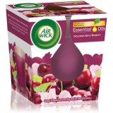 Air Wick Essential Oil Mountain Berry Blossom lum&acirc;nare parfumată 105 g