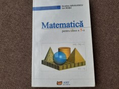 MATEMATICA PENTRU CLASA A V A ION ROSU DUMITRU SAVULESCU